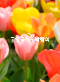 2012 최우수상
