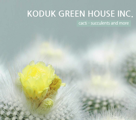 KODUK GREEN HOUSE INC 화면