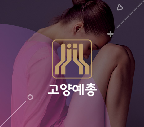 (사)고양예총 화면