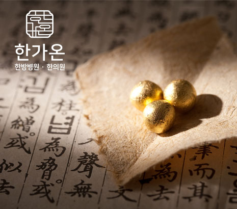 한가온컴퍼니 화면